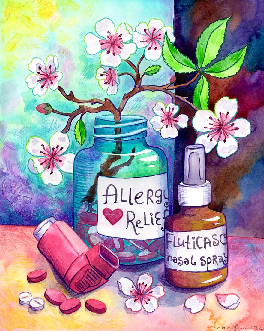 Spring | buy prints Watercolor still life of a cherry blossom branch in a bottle of allergy pills, surrounded by a nasal spray bottle and an inhaler